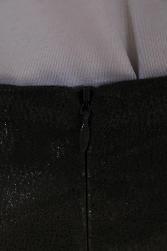 Donna Degnan 女式皮革印花内衬拉链迷你裙绿色 16 码 — 第 4/4 张图片