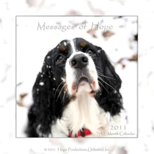 Collectable 2011 Calendar. Inspired by 9/11. ESS Hope offers "Messages of Hope" 