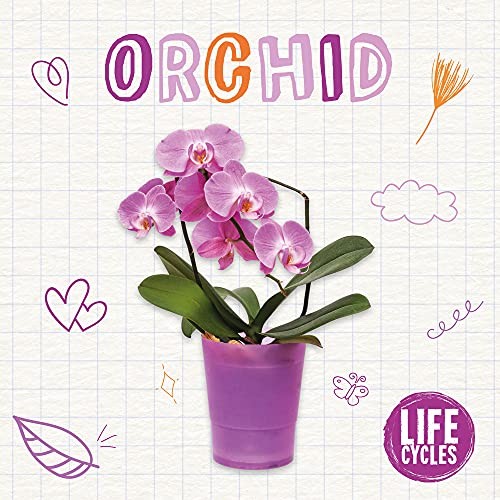 Orchid by Brenda McHale PAPERBACK 9781839271588 - Image 4