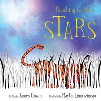 Reaching For The Stars James Unwin Taschenbuch Kartoniert / Broschiert Englisch