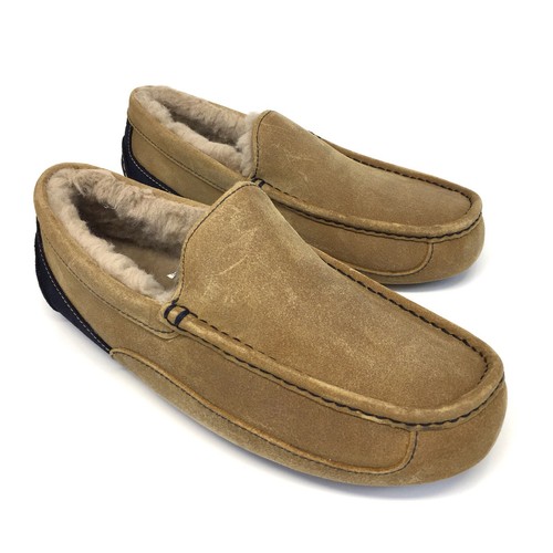 UGG Australia UOMO ASCOT Ciabatte scamosciate M/CTNY - Foto 3 di 9