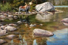 Ceramic Tile Mural Kitchen Backsplash Aldrich Moose Animal Wildlife Art RW-EA017