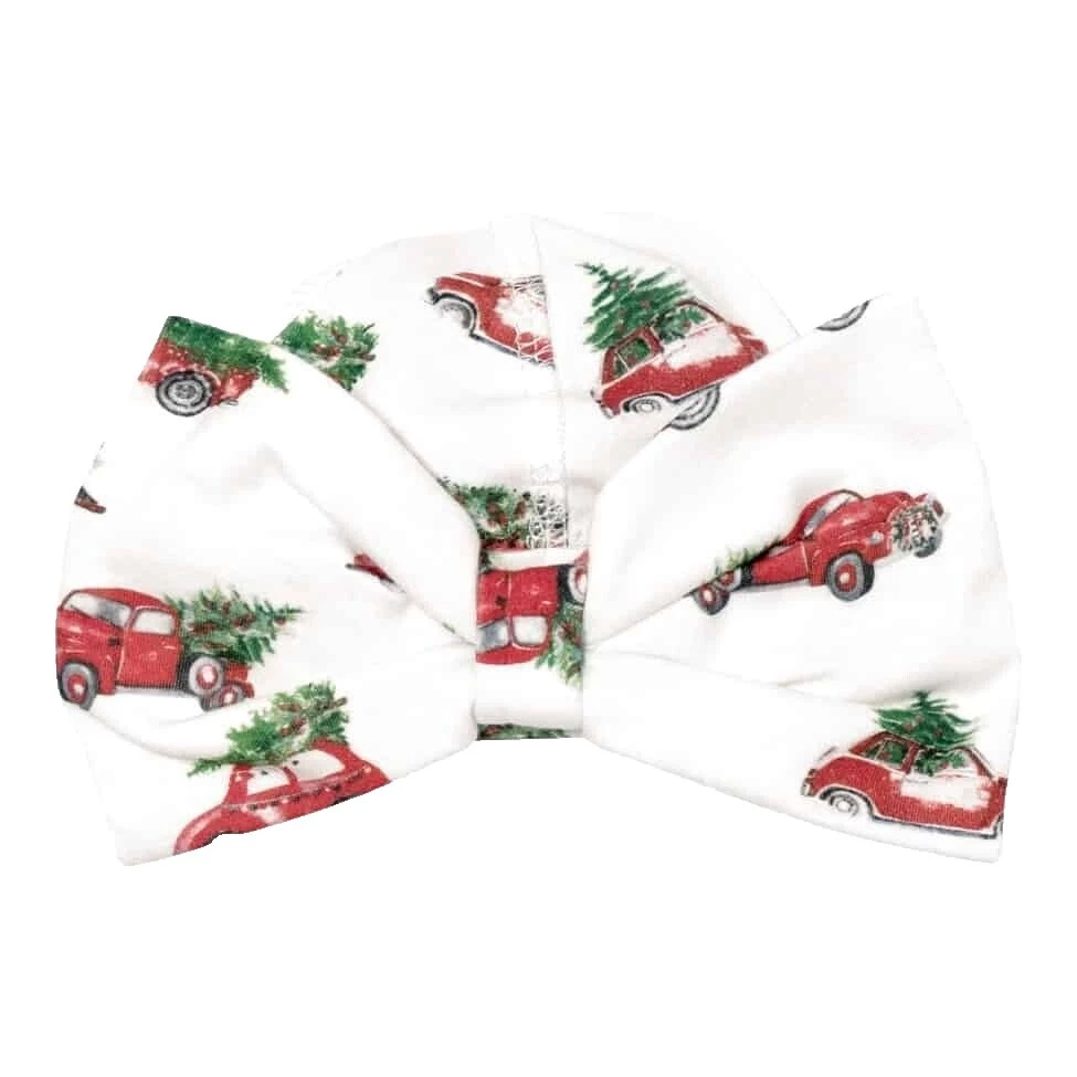 Beanie Holiday Newborn Baby Hats