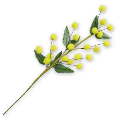 RAMO DI MIMOSA CM 20 RAMETTI MIMOSE FESTA della DONNA IDEA REGALO