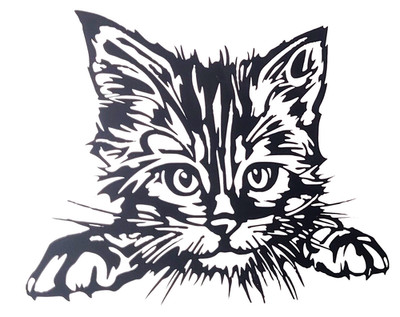 1x Katze Kätzchen Vinyl Aufkleber Abziehbild Stoßstange Fenster Auto Van Camper Maine 6x4,5 Zoll