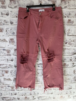 Risen Womens Distressed Ankle Flare Jeans Sz 1x High Rise Coral Denim Plus Jeans