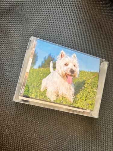 6 Blank All Occasion Cards ~Assorted - Wonderful Westies ~5x4 Cards Envelopes - Picture 2 of 5