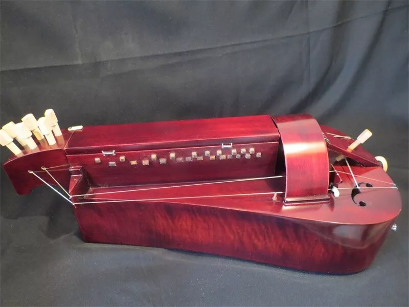 Hurdy on sale gurdy ebay
