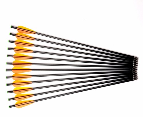 20''Fiberglass Arrows w/Replaceable Tips Archery F Recurve Bow Hunting Practice - Picture 10 of 23