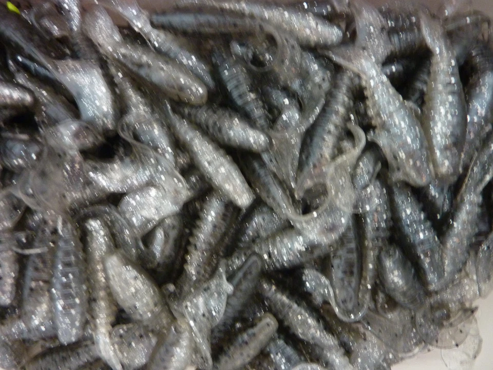 Lot 200 leurre BERKLEY flexgrub shad 5 cm natur peche carnassier sandre twists - Photo 2/4