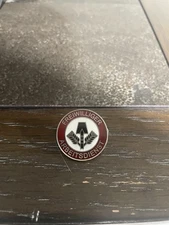 WW2 German Freiwilliger Arbeitsdienst Pin