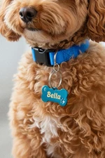 Personalized Dog ID Tag – Custom Name Engraving – Bone Shape Metal Pet Tag