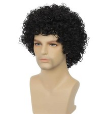 Curly Wig Men Afro Short Black Rocker Party Wigs 70s 80s Fluffy Synthetic Dai...