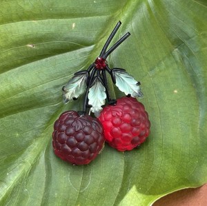 Austria Fruit Brooch | eBay