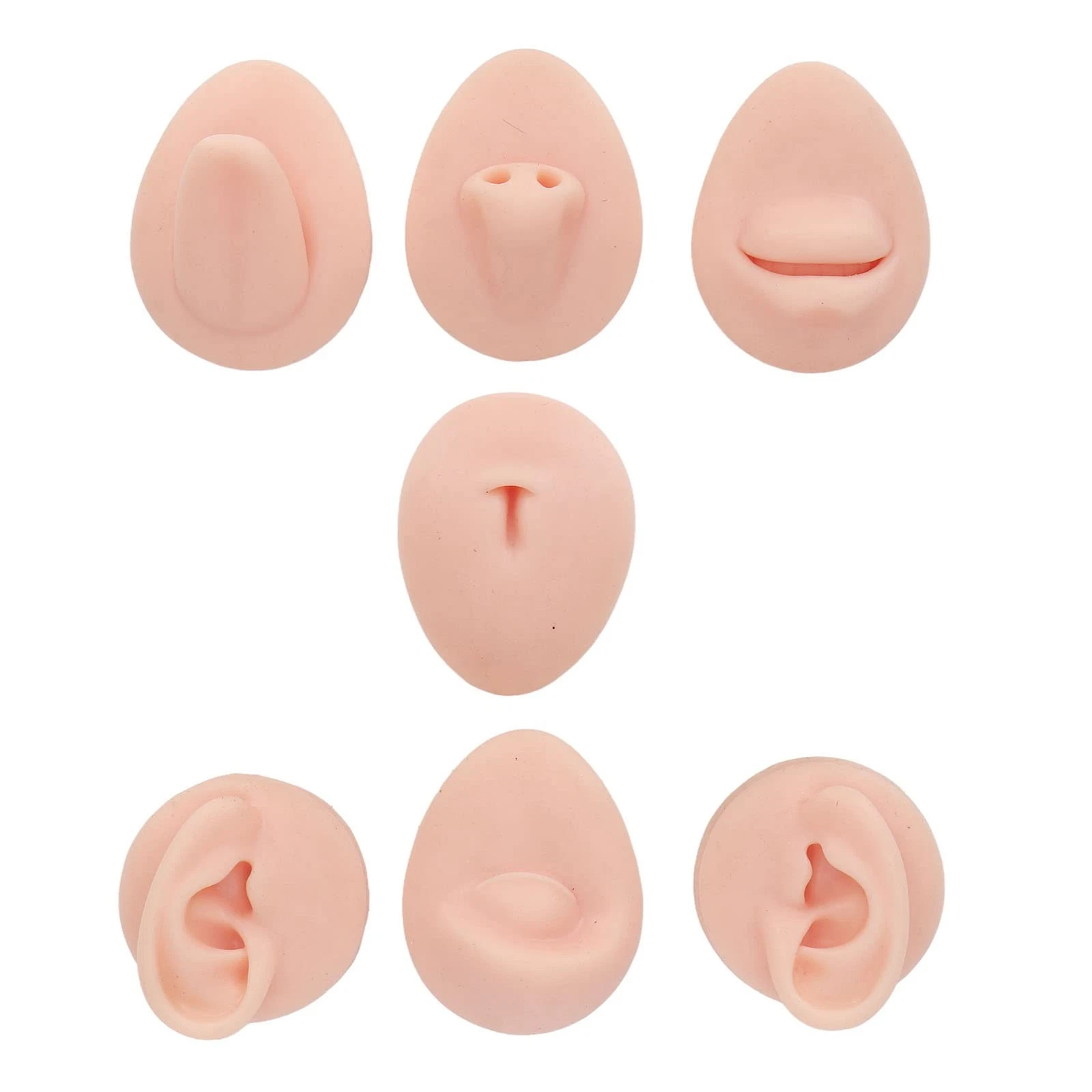 Fayelume 7PCS Piercing Practice Model Kit, Silicone Body Part Model For - product detail image 8