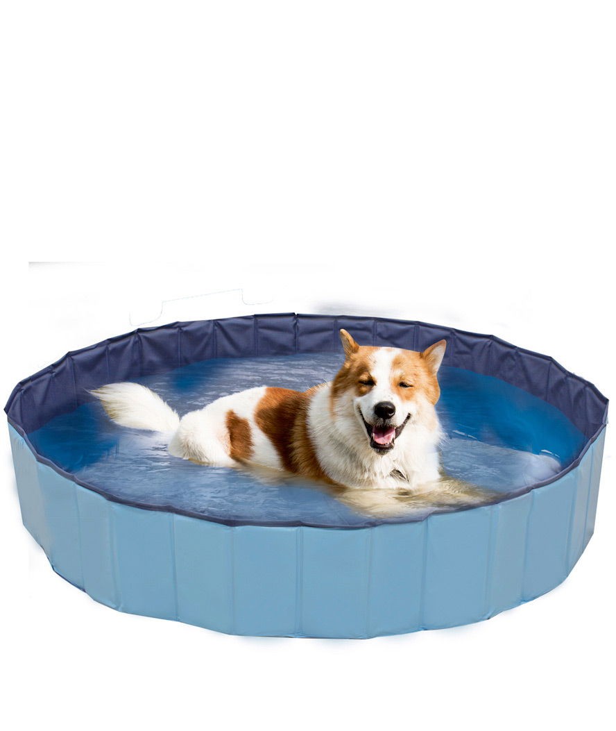 Piscina gioco rigida colore blu per cani Croci