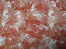 1 Yard New Cotton Fabric Dear Stella Poinsettias Salmon Pink Color 