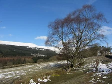 Photo 6x4 In the Taf Fechan valley  c2013