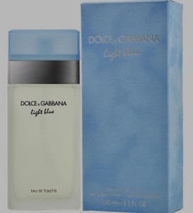 dolce & gabbana light blue 3.3 oz women's eau de toilette