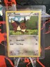 The Pokémon Company Eevee Dark Explorers 84/108 Regular Common HP50 1st Ed EN