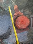 Primitive Lot Of 6 Items — photo 4