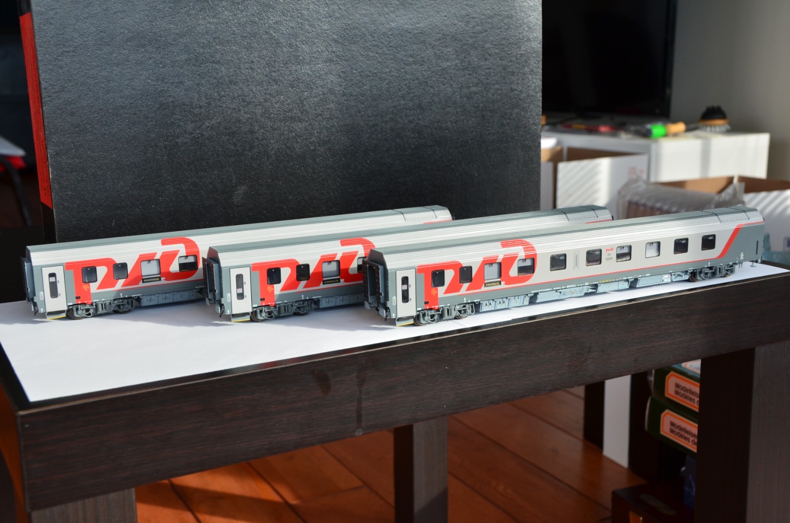 LS Models 48036 RZD MOSCOW-VIENNA International Train 3-Car Set HO RARE ...
