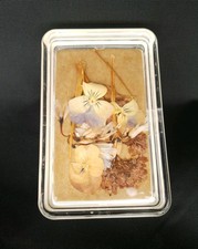 Dried Pressed Pansy Flowers in Hard Plastic, Trinket Tray 4" x 2.5"x .5" Vintage