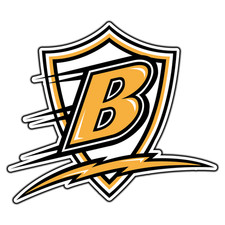 Boston Bruins Shield Logo #13 Hockey Fan Sticker Waterproof Vinyl Decal Die-Cut