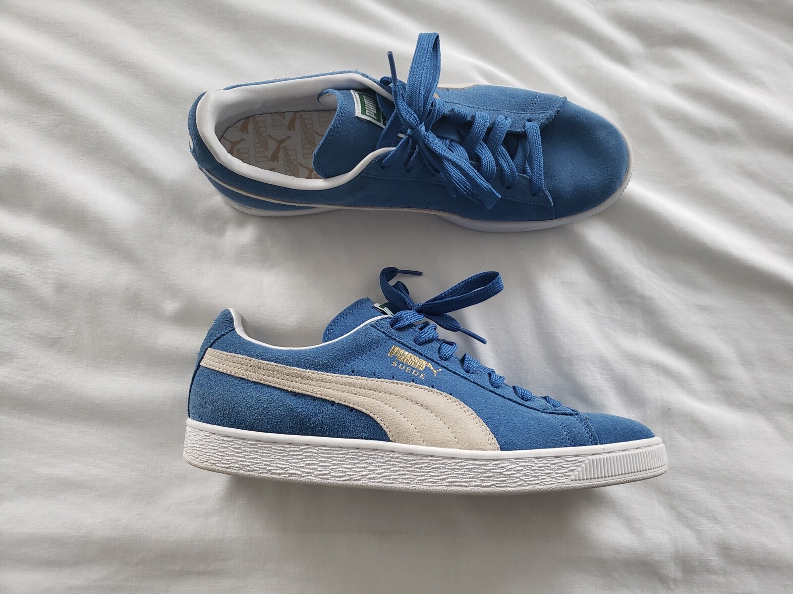 blue pumas men