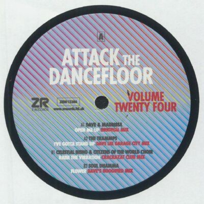 Dave LEE - Attack The Dancefloor Volume Twenty Four