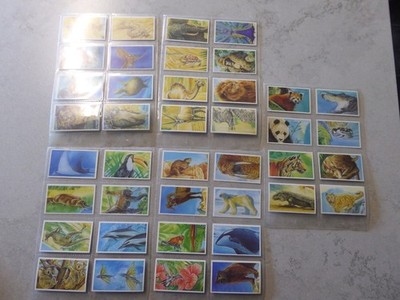 BROOKE BOND P.G. TIPS, GOING WILD, FULL SET OF 40, ISSUED 1994