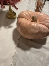 Pink Jaune De Paris Pumpkin Seeds | Fairytale Porcelain Doll Pumpkins Seed