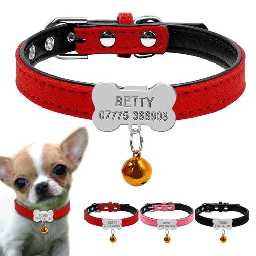 de perro con etiqueta grabada personalizado número de identificación cuello de | eBay