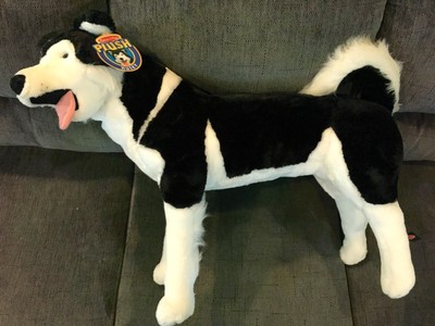 black cat plush