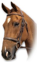 Sabre Hunter English Cavesson Bridle Sabre Hunter English Cavesson Bridle
