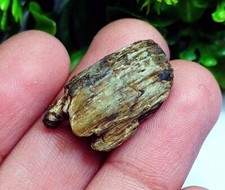 100% Natural Chrysoberyl Cat's Eye Rough 13.50+ Ct Loose Gemstone With Free Gift