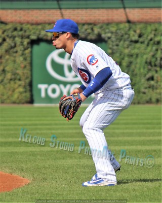Original Javier Javi Baez Detroit Tigers Pic Various Size PhotoArt NLCS Co-MVP