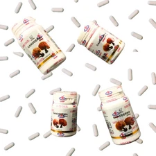 Gano Excel Ganoderma Lucidium 30/90 Capsules Reishi Lingzhi Immunity Booster