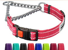 Martingale Dog Collar Reflective Pink w/ Stainless Chain Medium 14-17"