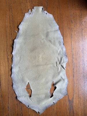 Stachelrochen Fischfelle/Leder/Häute