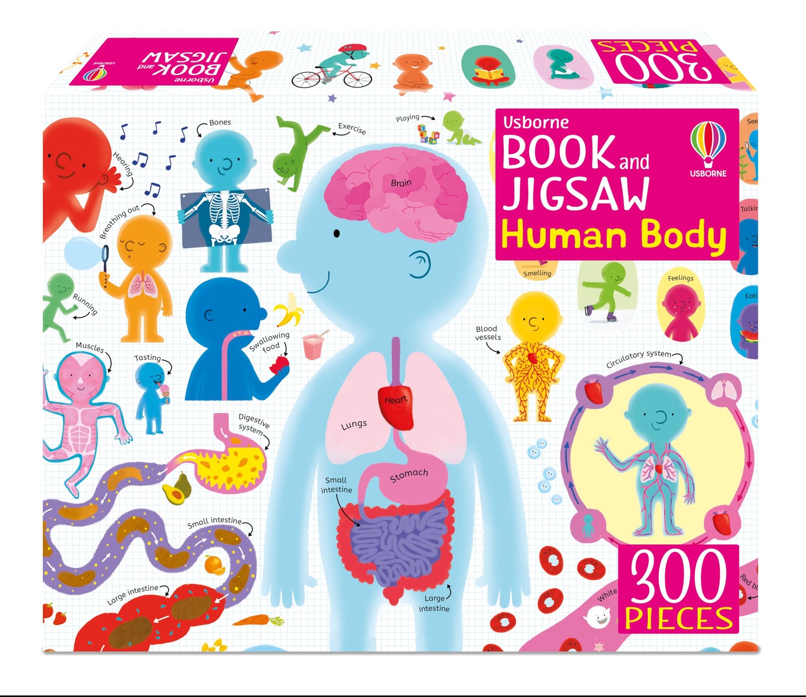 Usborne Book and Jigsaw Human Body by Sam Smith (PB 2025) - Image 4