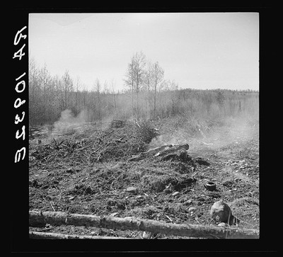 Iron County Michigan Sando Evanoff Farm Brush Burning 1937 Cut-Over Land