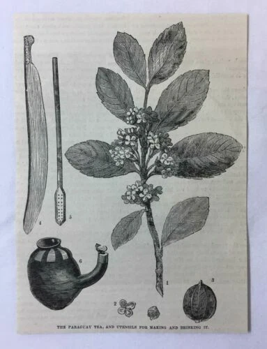 Kunstdrucke aus Paraguay