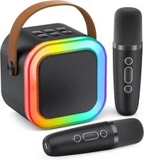 Karaoke Machine for Kids Adults, Portable Bluetooth Mini Karaoke -  2 Mic Black