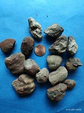 Coprolite Fossil Dinosaur Dung 80 gr assorted smaller crap pieces 3 to 6 pcs