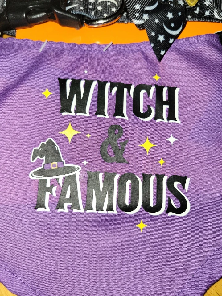 SIMPLY DOG HALLOWEEN Perro Cachorro Collar Bandana Bruja y Famoso Conjunto Talla L Foto 3 de 3