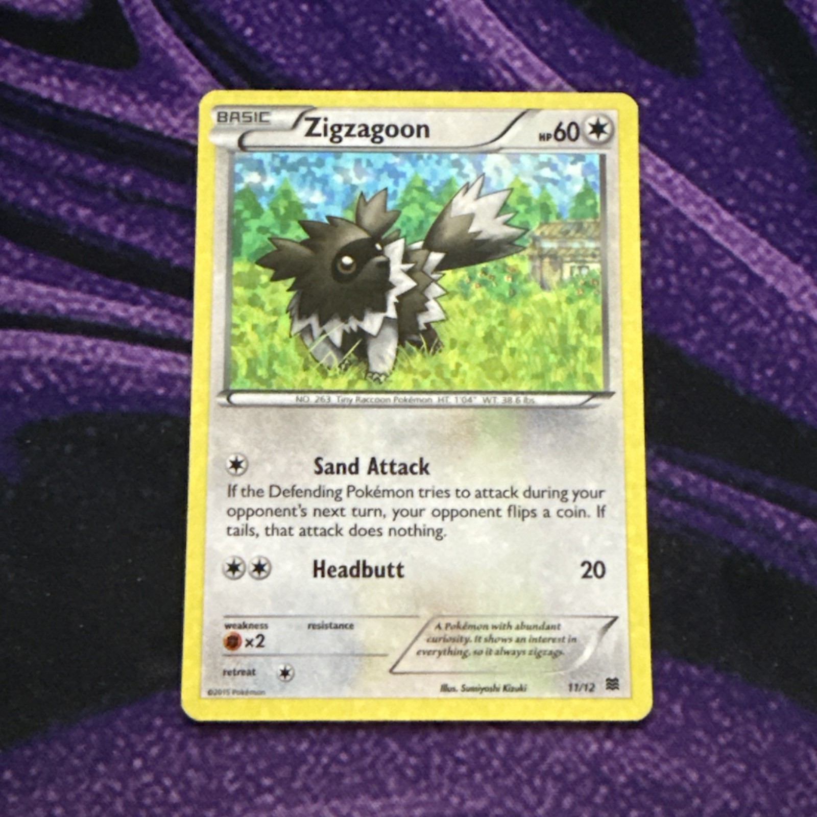 Zigzagoon 11/12 MP Holo Rare 2015 Pokemon Mcdonalds Promo Card Kizuki