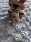Vintage Flock Fleece Fuzzy DONKEY JACK ASS Sombrero Salt Pepper Shaker S5 — photo 8