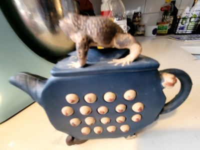 VINTAGE Chinese Frog Purple Clay Tea Pot