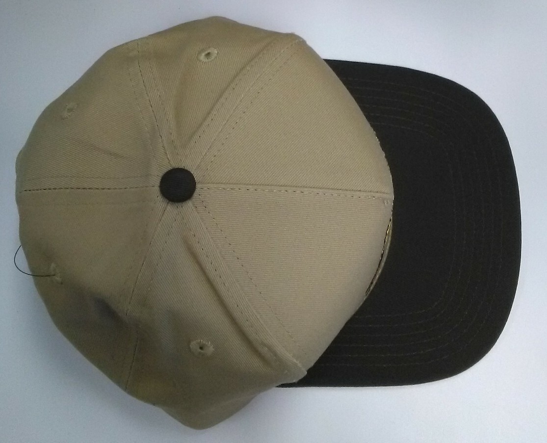 SANTA CRUZ Salba Tiger Snapback Cap サンタクルーズ キャップ Santa Cruz skateboards Steve 